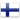 Suomen kieli